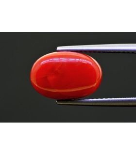 7.23 cts Natural Coral - Moonga (SKU:90156984)