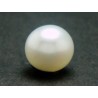 3.6 cts Cultured Pearl (Moti)