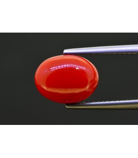 4.56 cts Natural Coral (Moonga)