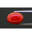 4.85 cts Natural Coral (Moonga)