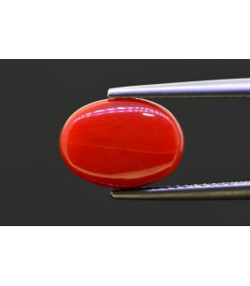 4.85 cts Natural Coral - Moonga (SKU:90157523)