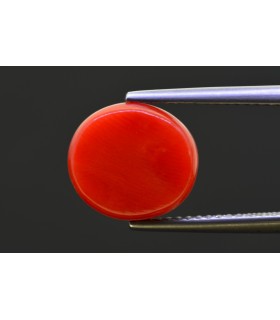 4.75 cts Natural Coral - Moonga (SKU:90157530)