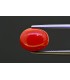 4.69 cts Natural Coral (Moonga)