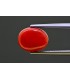4.69 cts Natural Coral - Moonga (SKU:90157547)