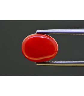 4.69 cts Natural Coral - Moonga (SKU:90157547)