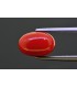 4.49 cts Natural Coral (Moonga)