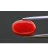 4.49 cts Natural Coral - Moonga (SKU:90157554)