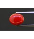 4.47 cts Natural Coral (Moonga)