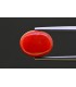 4.47 cts Natural Coral - Moonga (SKU:90157561)