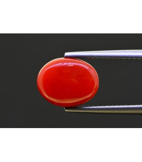 4.47 cts Natural Coral - Moonga (SKU:90157561)