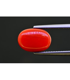 5.28 cts Natural Coral - Moonga (SKU:90157578)