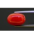 5.17 cts Natural Coral (Moonga)