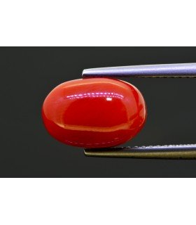 5.17 cts Natural Coral (Moonga)