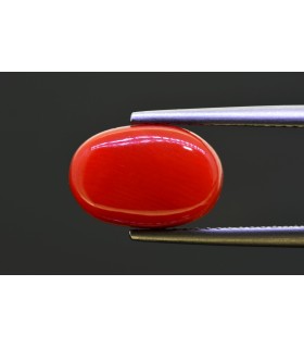 5.17 cts Natural Coral - Moonga (SKU:90157585)