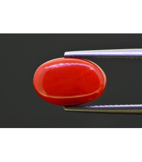5.25 cts Natural Coral - Moonga (SKU:90157592)