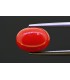 5.18 cts Natural Coral (Moonga)