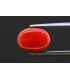 5.18 cts Natural Coral - Moonga (SKU:90157608)