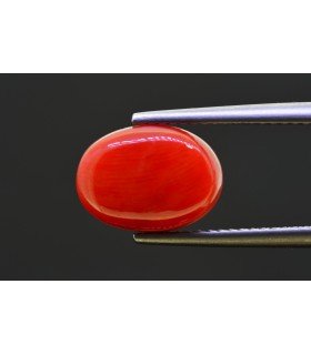 5.18 cts Natural Coral - Moonga (SKU:90157608)