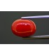 5.76 cts Natural Coral (Moonga)