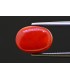 5.76 cts Natural Coral - Moonga (SKU:90157615)
