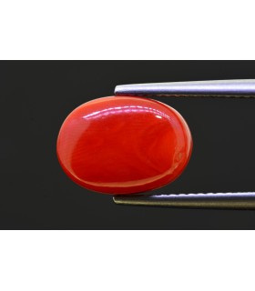 5.76 cts Natural Coral - Moonga (SKU:90157615)