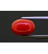 5.3 cts Natural Coral (Moonga)