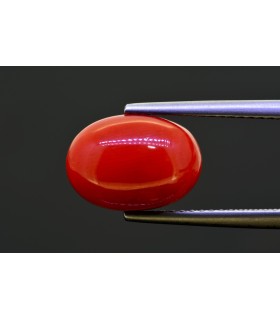 5.3 cts Natural Coral (Moonga)