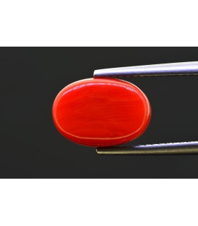 5.3 cts Natural Coral - Moonga (SKU:90157622)