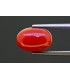 5.39 cts Natural Coral (Moonga)