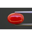 5.39 cts Natural Coral (Moonga)