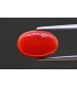 5.39 cts Natural Coral - Moonga (SKU:90157646)