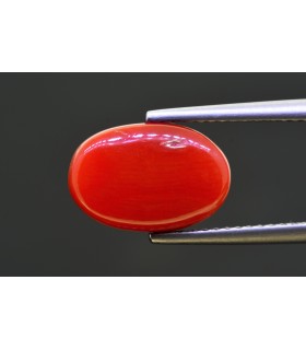 5.39 cts Natural Coral - Moonga (SKU:90157646)