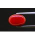 5.12 cts Natural Coral - Moonga (SKU:90157653)