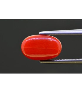 5.08 cts Natural Coral - Moonga (SKU:90157660)