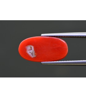 6.69 cts Natural Coral - Moonga (SKU:90157677)