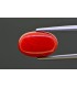 6.62 cts Natural Coral - Moonga (SKU:90157684)