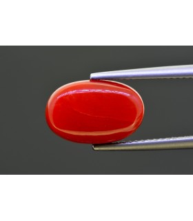 6.62 cts Natural Coral - Moonga (SKU:90157684)