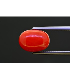 6.68 cts Natural Coral (Moonga)