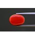 6.68 cts Natural Coral - Moonga (SKU:90157691)