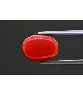 6.68 cts Natural Coral - Moonga (SKU:90157691)