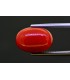 7.29 cts Natural Coral (Moonga)