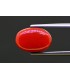 7.29 cts Natural Coral - Moonga (SKU:90157707)