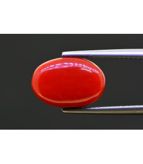 7.29 cts Natural Coral - Moonga (SKU:90157707)