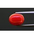 7.23 cts Natural Coral (Moonga)