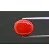 7.61 cts Natural Coral - Moonga (SKU:90157745)