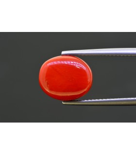 7.61 cts Natural Coral - Moonga (SKU:90157745)