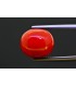 9.41 cts Natural Coral (Moonga)