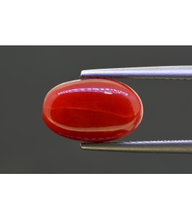 4.6 cts Natural Coral - Moonga (SKU:90157936)