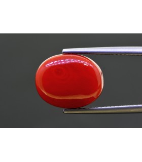 11.75 cts Natural Coral - Moonga (SKU:90157950)