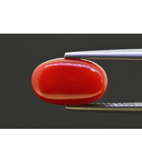 4.84 cts Natural Coral - Moonga (SKU:90158162)